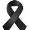 Jose Suazo - @jose.suazo30 - TikTok