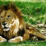 Jose Tabora Enamorado - @josetaboraenamorado - Instagram