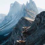 Jose Tanner - @josetanner258284 - Instagram