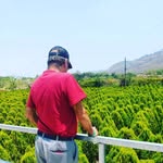 Jose Teruel - @jostesteruel - Instagram
