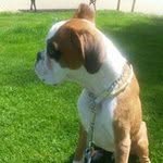 Jose Teruel - @golfo2327 - Instagram