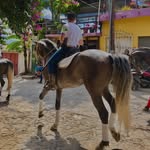 Jose Carlos Cabrera Trabanino - @jose_trabanino - Instagram