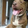 Jose Trabador - @jose.trabador - TikTok