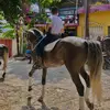 Jose trabanino - @josecarloscabreratrabani - TikTok