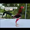 traba_josetala_elmango - @traba_josetala_elmango - TikTok