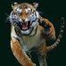 Jose Trias - Facebook