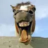 locoturon - @joseturon1 - TikTok