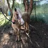 joseugalde560 - @jose.ugalde53 - TikTok