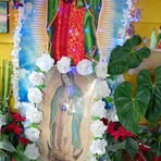Jose Alfredo Urioste - Facebook