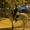 Jose Valcarcel - @josevalcarcelnavarro - TikTok