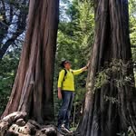 Jose Vargas - @el_jose_patagonia - Instagram