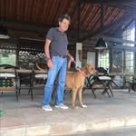 jose geraldo Vecchione - @josegeraldovecchione - Instagram