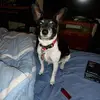 Jose Vecchio - @jose.vecchio - TikTok