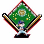 Liga de Beisbol Menor Dr. José del Vecchio - @lbmdrjosedelvecchio - Instagram