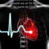 joseverardoeverar - @joseverardoeverar - TikTok