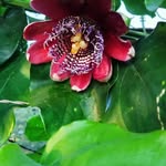 José R.Vidotti - @jose.vidotti - Instagram