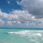 Jose Antonio GarciaLuna Viesca - @tonogluna - Instagram