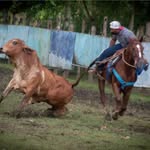 joseweeks - @joseweeks19 - Instagram