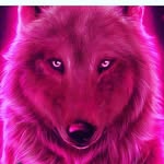 juan josé weeks carrera - @juanjoseweeks - Instagram