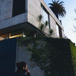 Jose Wilhelm - @josewilhelm_ - Instagram