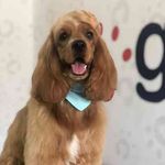 José Wilhelm - @josewilhelm6 - Instagram