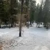 JOSEF BAKER - @jooooooooooooooooomama - TikTok