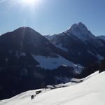 Josef Hauser - @josefhauser8 - Instagram
