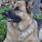Josef Hauser - @josef.hauser.33 - Instagram