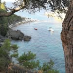 Josef Hauser - @josefhauser3 - Instagram