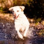 Josef Kessler - @wilson_khv_27 - Instagram