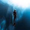 josefreediver - @josefreediver - TikTok