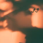 𝐉𝐨𝐬𝐞𝐟 𝐓𝐡𝐨𝐦𝐩𝐬𝐨𝐧 - @josef.thomps0n - Instagram