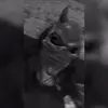 Akiniunawea - @oyarce.josefa - TikTok