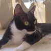 Josefa cabrera - @josefacabrerafern - TikTok
