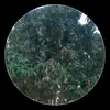 J - @josefa.castro.1 - TikTok