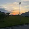 josefa collazo - @josefacz - TikTok