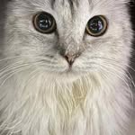 Josefa Concepcion Remigio - @josefaremigio - Instagram