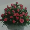 Josefa Cuevas - @josefa.cuevas8 - TikTok