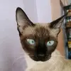 Josefa Duran - @josefaduran2024 - TikTok