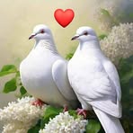 Josefa Duran - Facebook