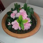 Josefa Huerta - Facebook
