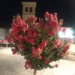Josefa Huertas Minñan - @josefahuertasminnan - Instagram