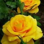 Josefa Osorio - Facebook