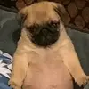 josefa - @jjosefabv - TikTok