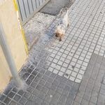 Josefa Padilla - @josefa.padilla.963 - Instagram