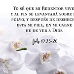 Josefa Palomo - @josefapalomo53 - Instagram