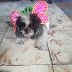 Josefa Pardo - Facebook