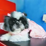josefa pardo - @pardo3241 - Instagram