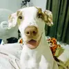 Elsy Josefa Perea - @elsyjosefaperea - TikTok