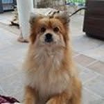 Josefa Perea - @leviimpo - Instagram